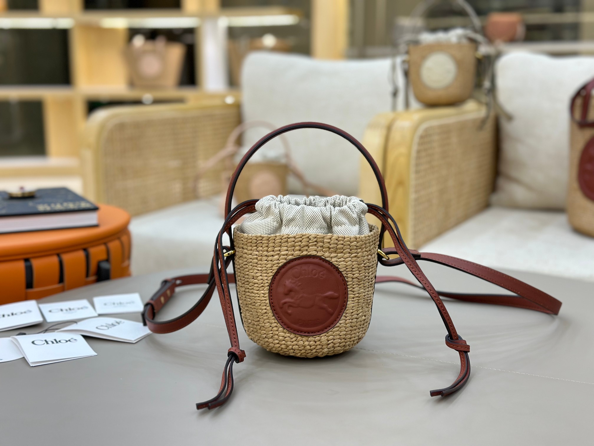 Chloé_Mini_Horse_Medal_